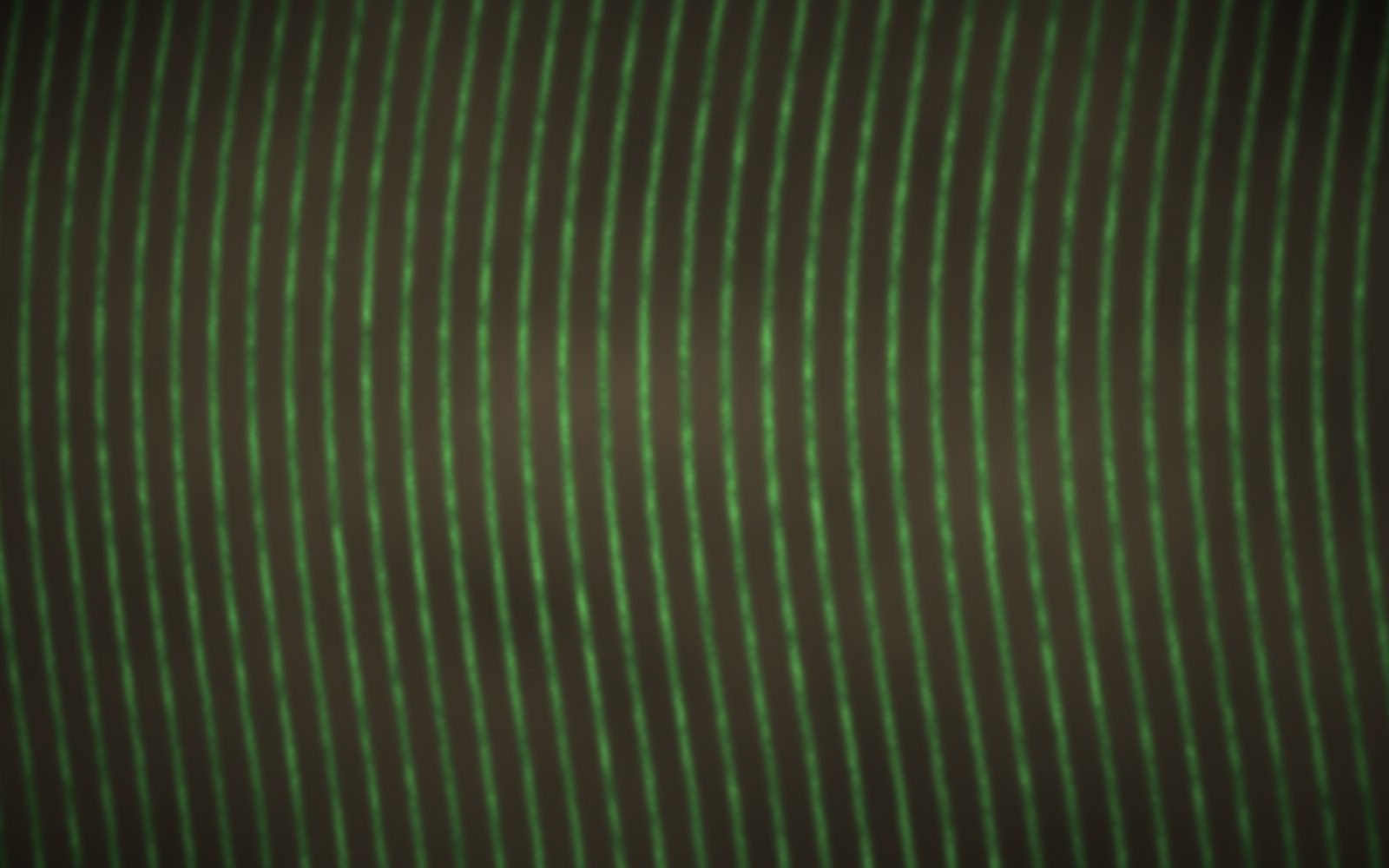 Stylised top-down view of curved vineyard rows